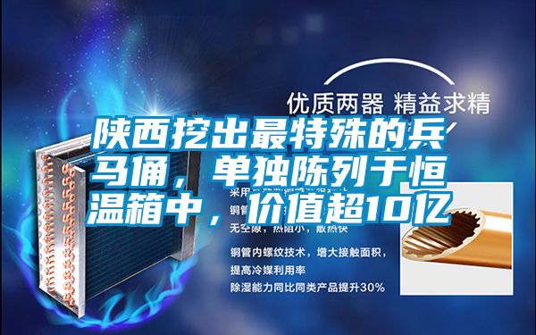 陜西挖出最特殊的兵馬俑，單獨陳列于恒溫箱中，價值超10億