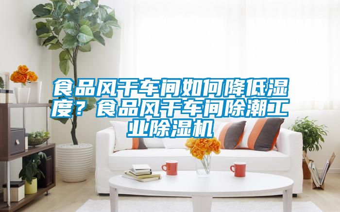 食品風干車間如何降低濕度？食品風干車間除潮工業(yè)除濕機