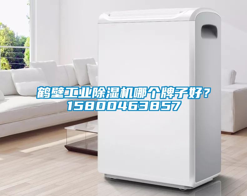 鶴壁工業(yè)除濕機哪個牌子好？15800463857