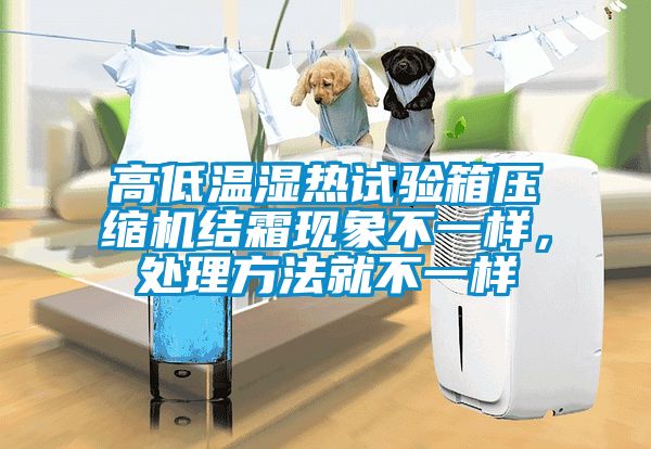 高低溫濕熱試驗箱壓縮機結(jié)霜現(xiàn)象不一樣，處理方法就不一樣
