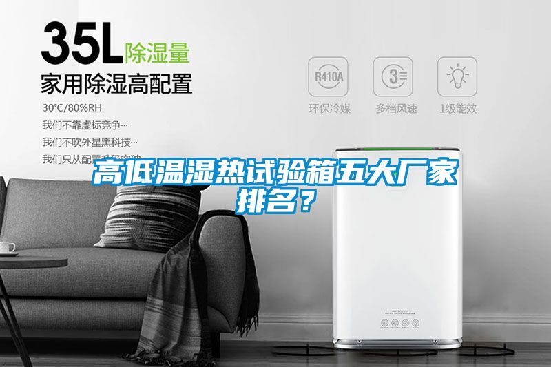 高低溫濕熱試驗箱五大廠家排名？