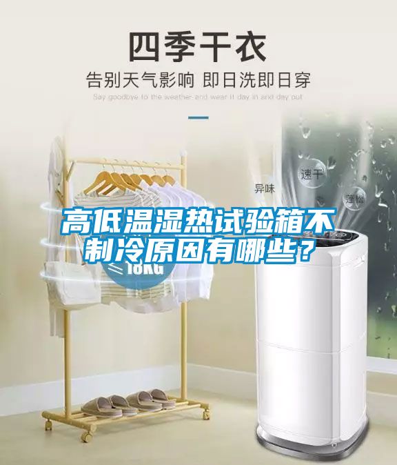 高低溫濕熱試驗箱不制冷原因有哪些？