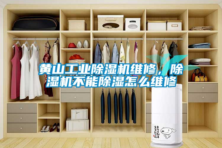 黃山工業(yè)除濕機維修，除濕機不能除濕怎么維修