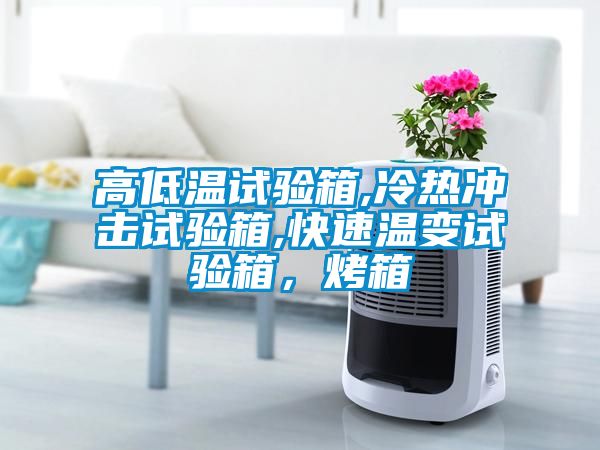 高低溫試驗(yàn)箱,冷熱沖擊試驗(yàn)箱,快速溫變?cè)囼?yàn)箱，烤箱