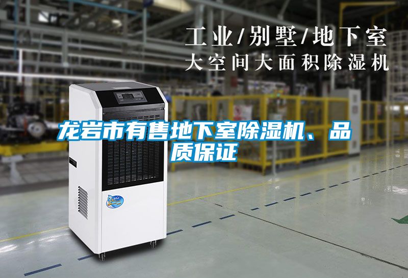龍巖市有售地下室除濕機(jī)、品質(zhì)保證