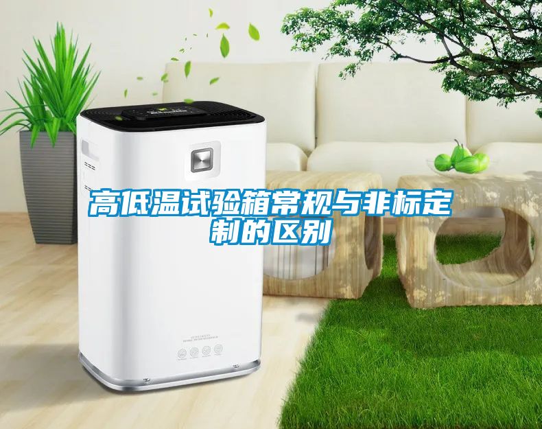 高低溫試驗箱常規(guī)與非標定制的區(qū)別
