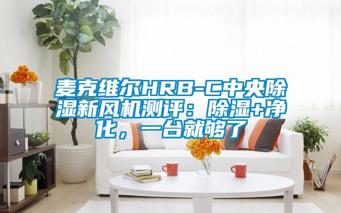 麥克維爾HRB-C中央除濕新風(fēng)機(jī)測(cè)評(píng)：除濕+凈化，一臺(tái)就夠了