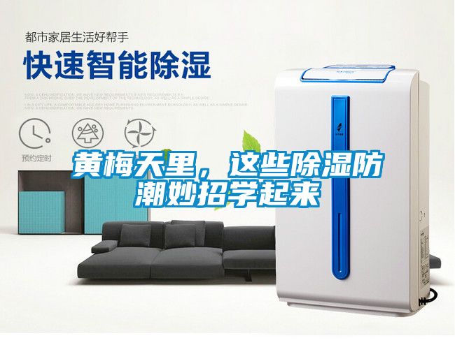 黃梅天里，這些除濕防潮妙招學(xué)起來