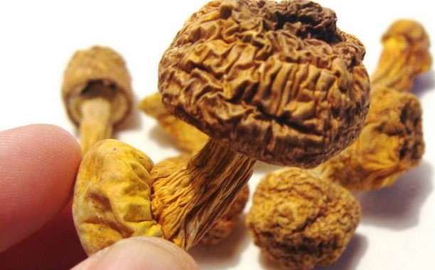 巴西菇、姬松茸烘干機(jī)-怎樣烘干色澤好且菇體褶片完整？