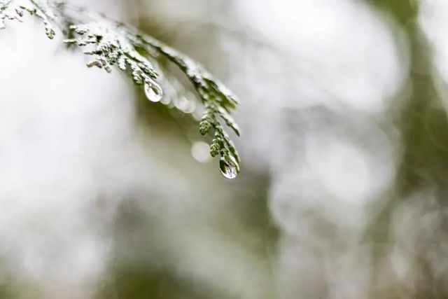 空氣濕度大帶來的危害有哪些，你知道嗎？