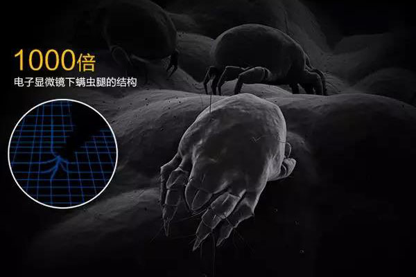 螨蟲高發(fā)季，家用除濕機除螨有妙計！