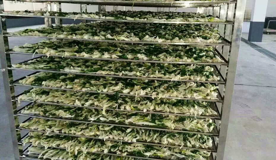 菜干需求一直都很大，蔬菜烘干機(jī)很有市場(chǎng)