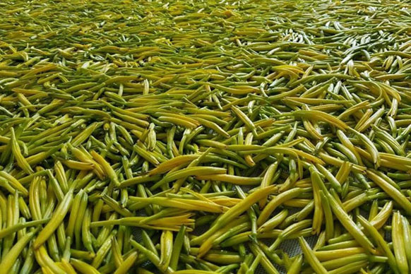 無硫金針菜烘干如何保持品相？不發(fā)黑？