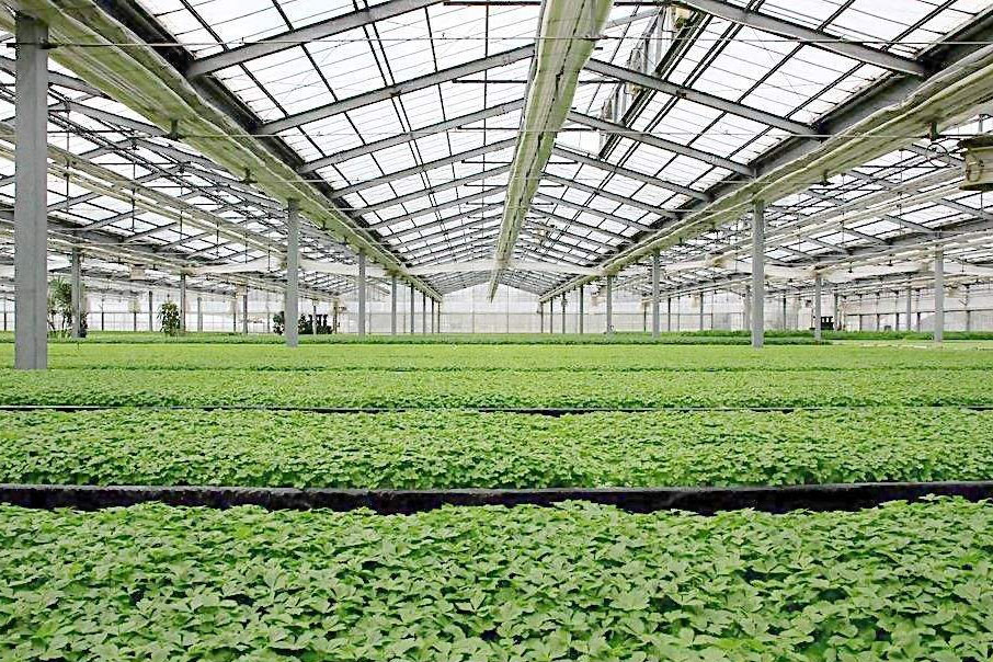 除濕器如何解決高濕度、多種危害的溫室除濕問題？